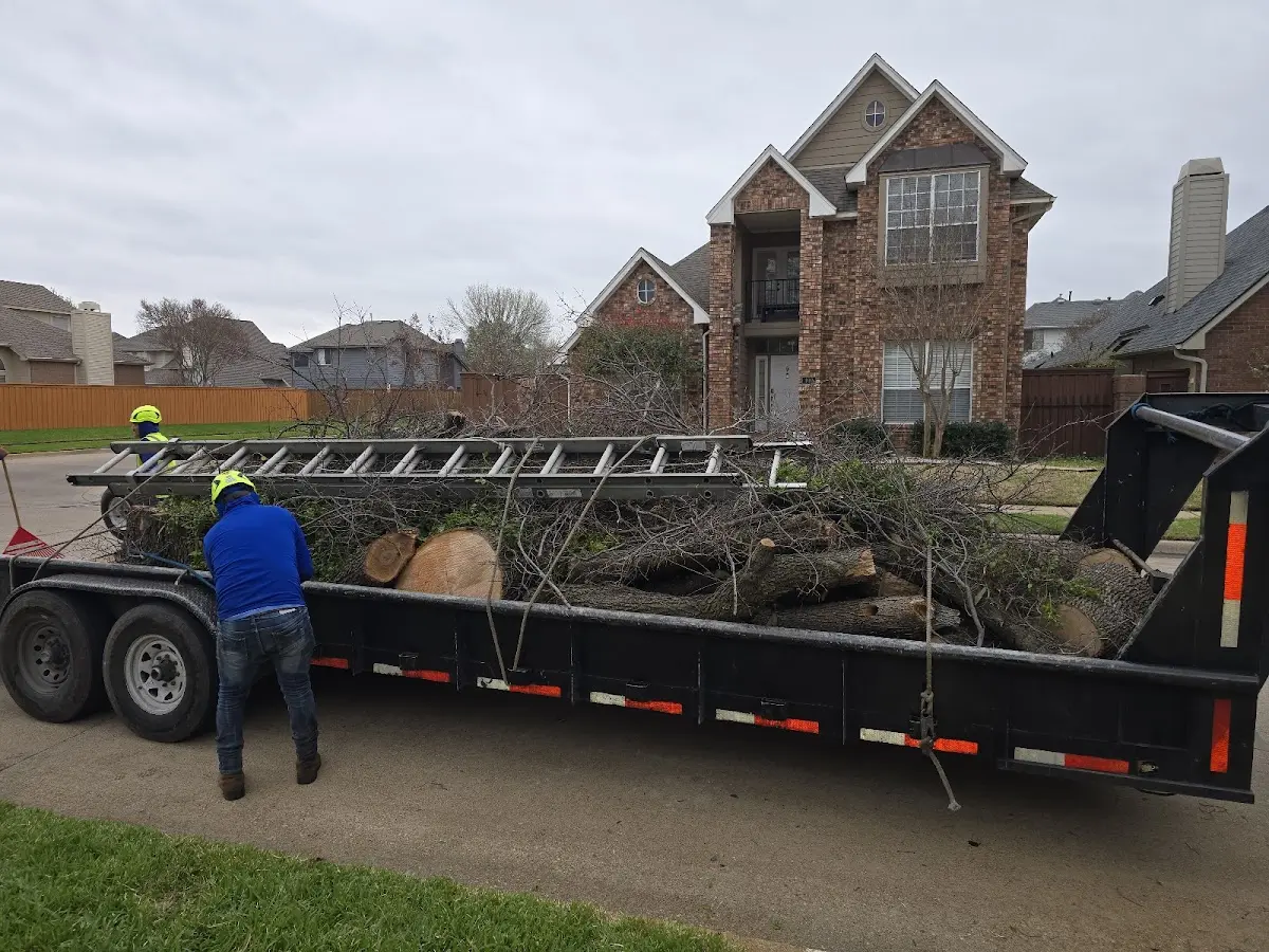 Expert Tree Fertilization with proper safety equipment in Salters